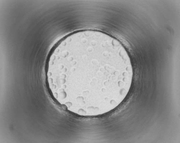 X0000114110936200911161116