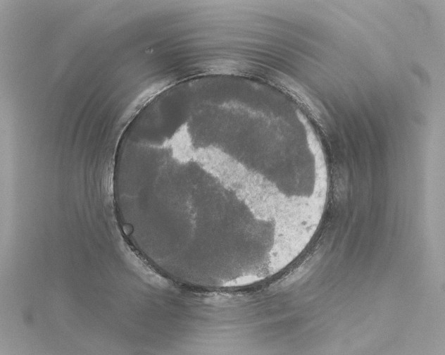 X0000114110938200911161116