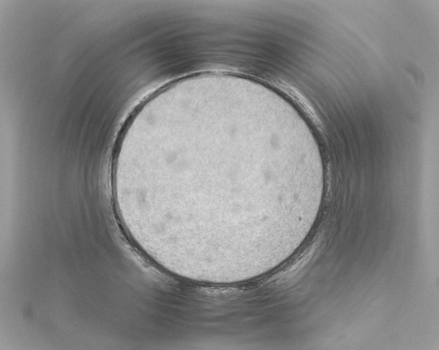 X0000114110939200911161116