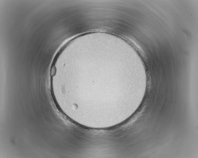 X0000114110940200911161116