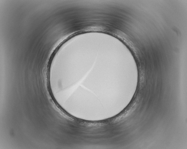 X0000114110941200911161116