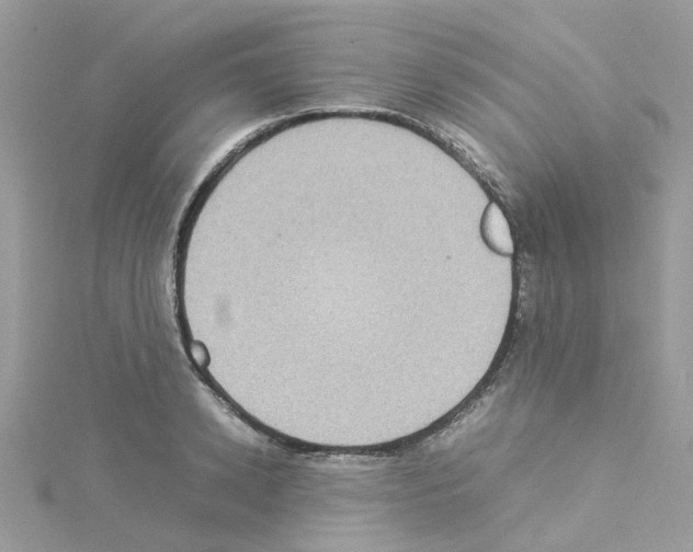 X0000114110942200911161116