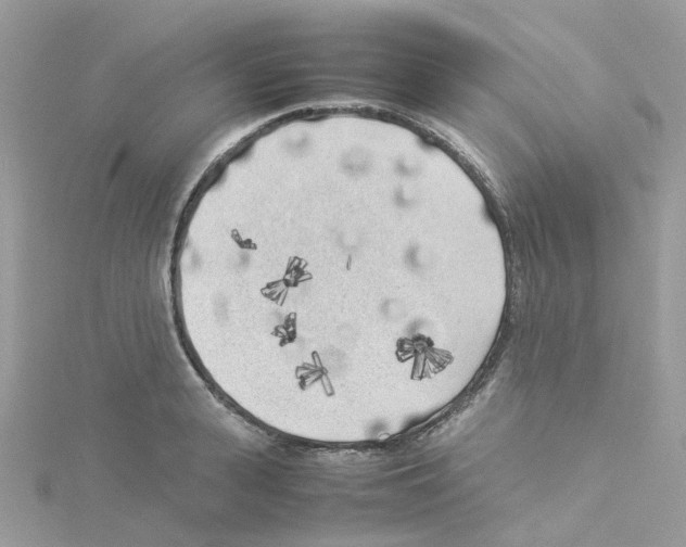 X0000114110943200911161116