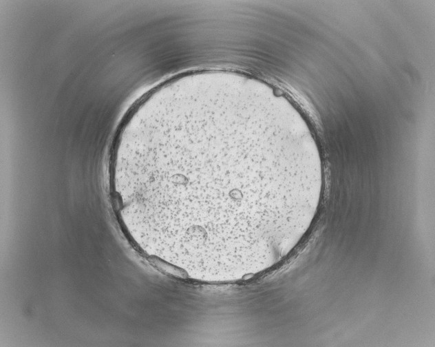 X0000114110944200911161116