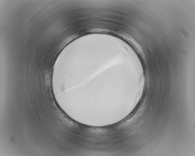 X0000114110945200911161116