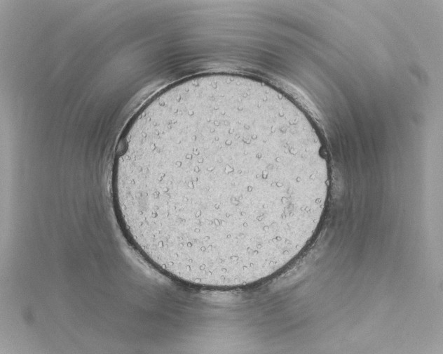 X0000114110946200911161116