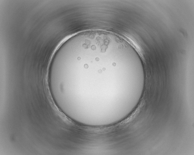 X0000114110948200911161116