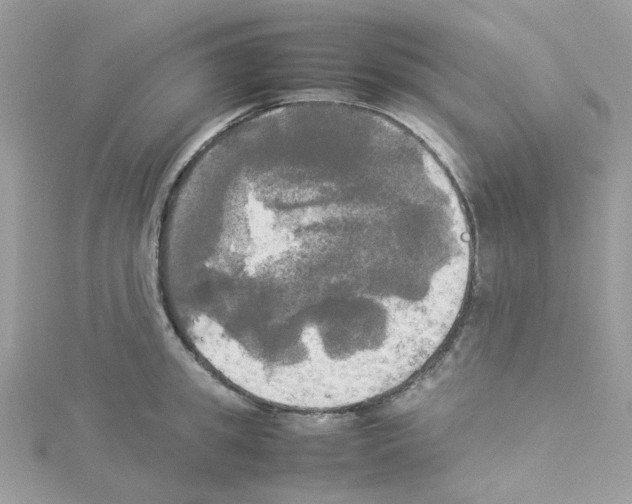 X0000114110949200911161116