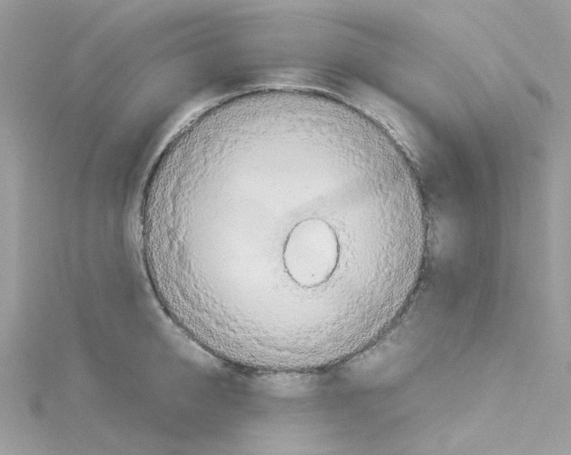 X0000114110950200911161116