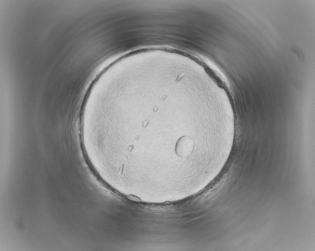 X0000114110951200911161116