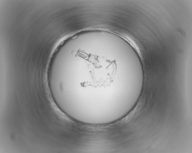 X0000114110952200911161116