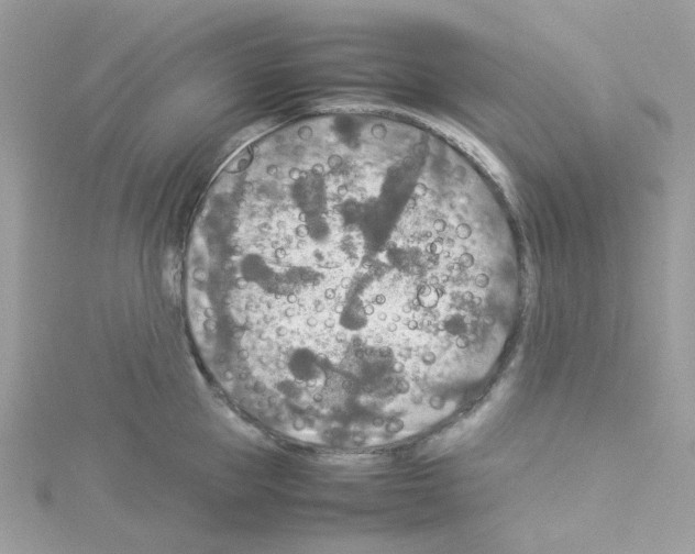 X0000114110953200911161116