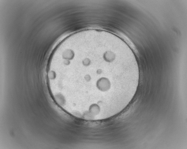 X0000114110955200911161116