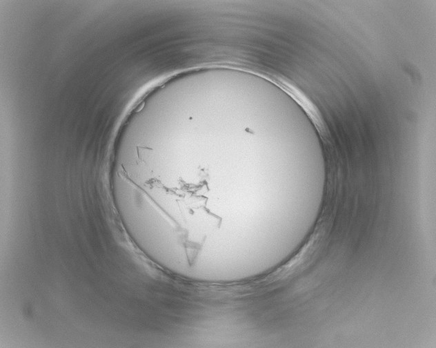 X0000114110956200911161116