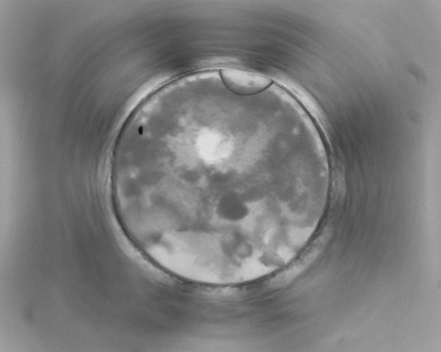 X0000114110957200911161116