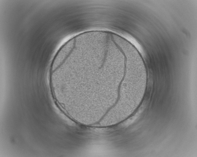 X0000114110958200911161116