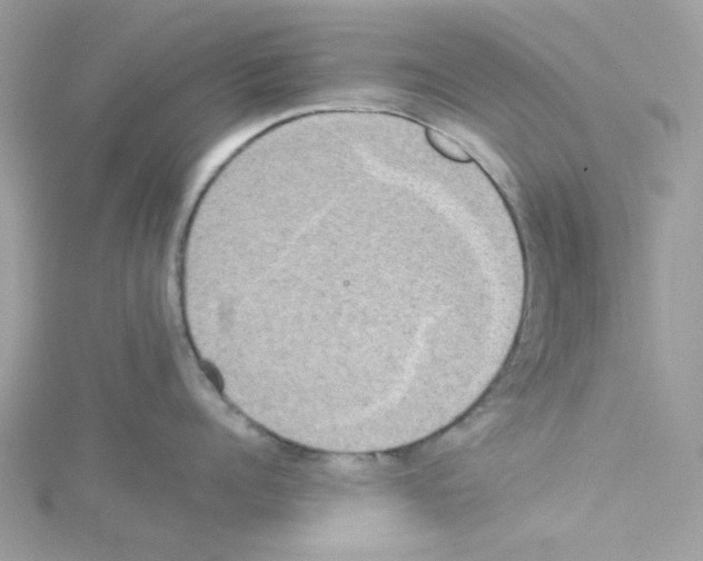 X0000114110960200911161116