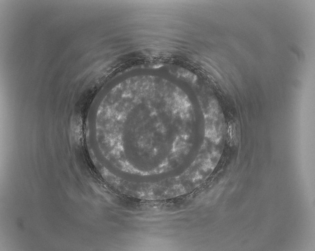 X0000114110963200911161115