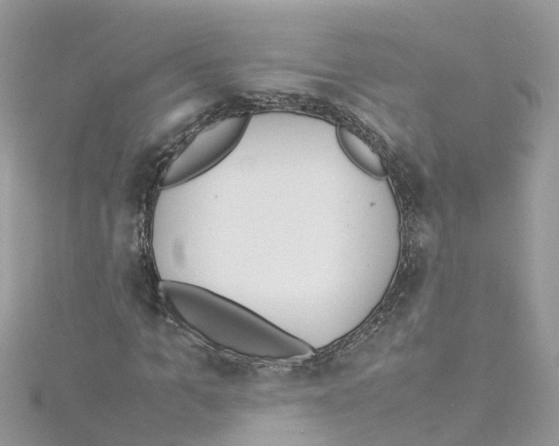 X0000114110965200911161115