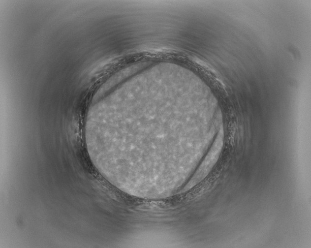 X0000114110966200911161115