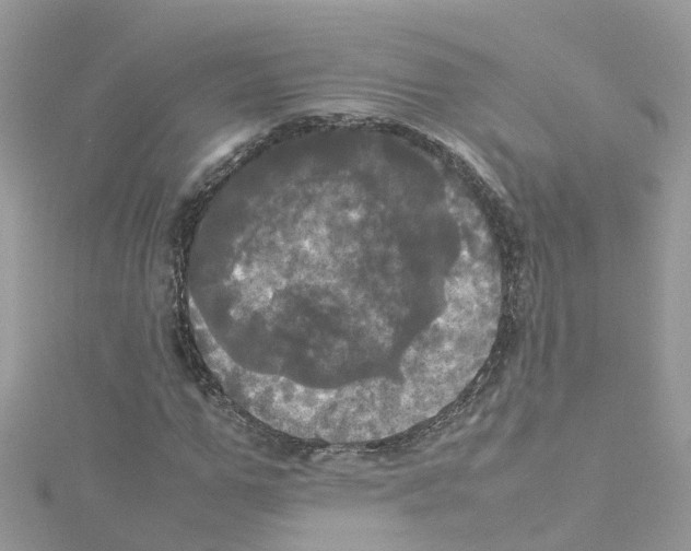 X0000114110967200911161115