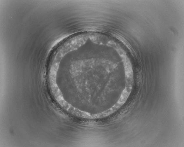 X0000114110971200911161115