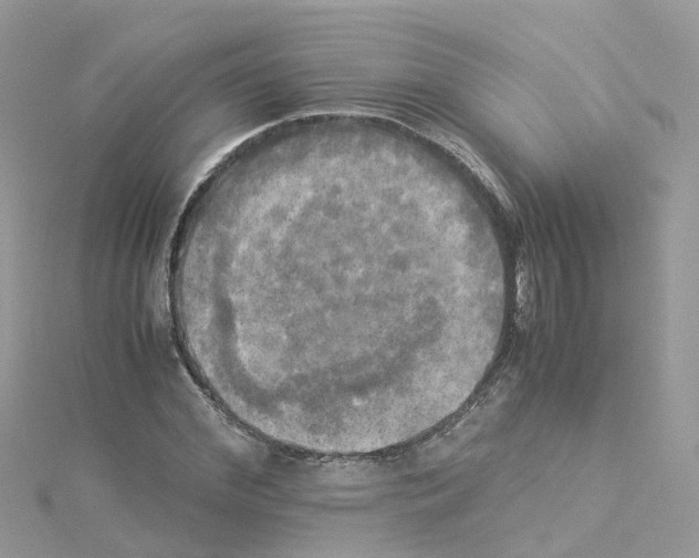 X0000114110972200911161115