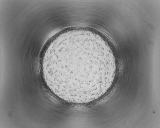 X0000114110974200911161115