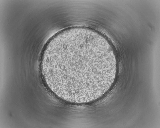 X0000114110975200911161115