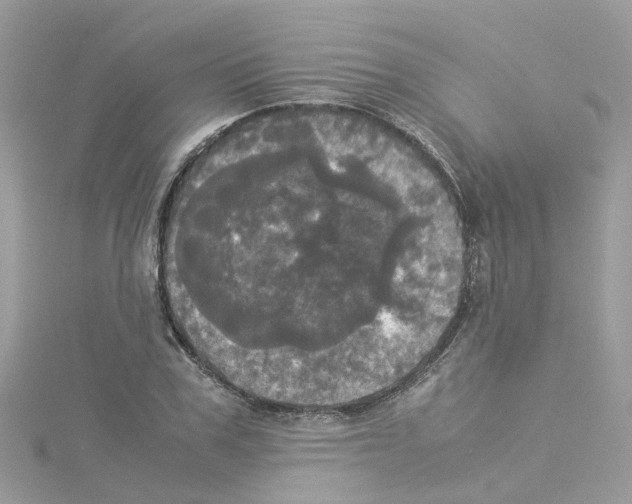 X0000114110979200911161115