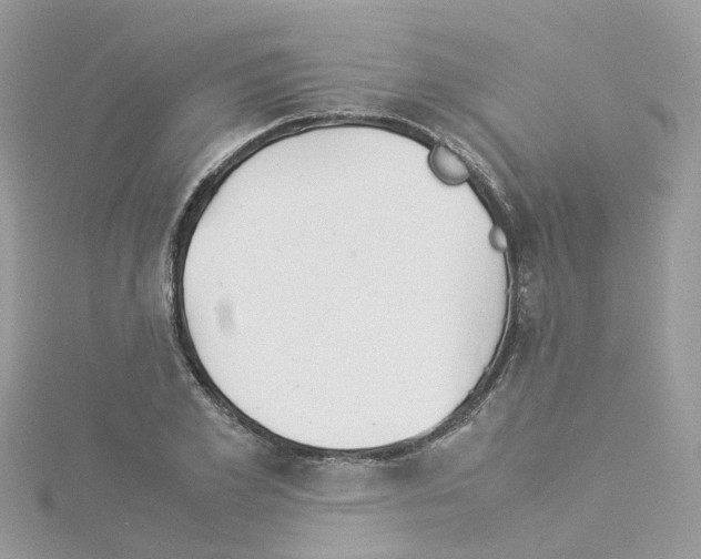 X0000114110981200911161115