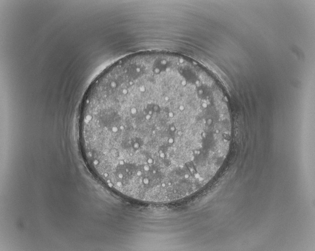 X0000114110983200911161115