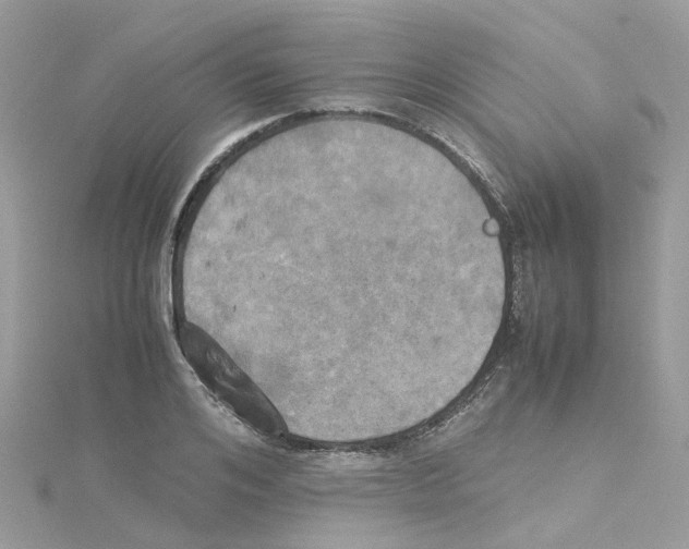 X0000114110984200911161115