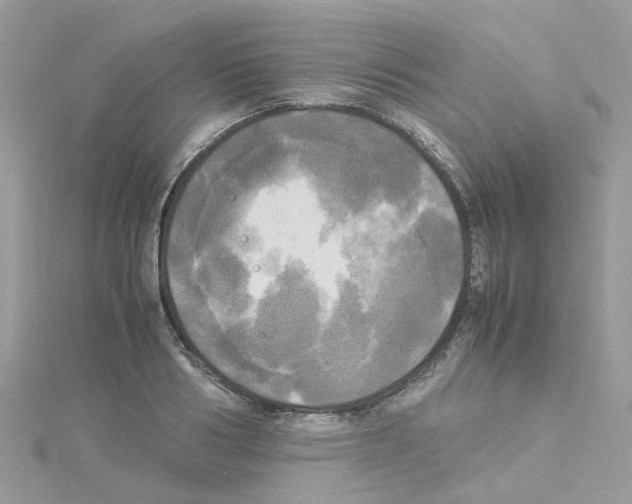 X0000114110986200911161115