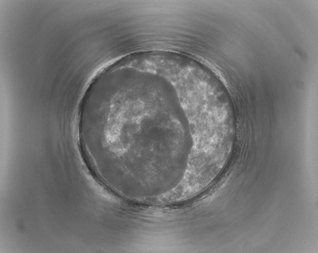 X0000114110987200911161115