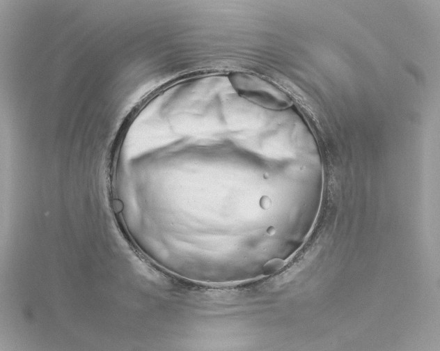 X0000114110989200911161115