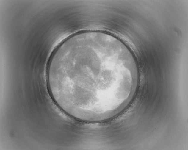 X0000114110990200911161115