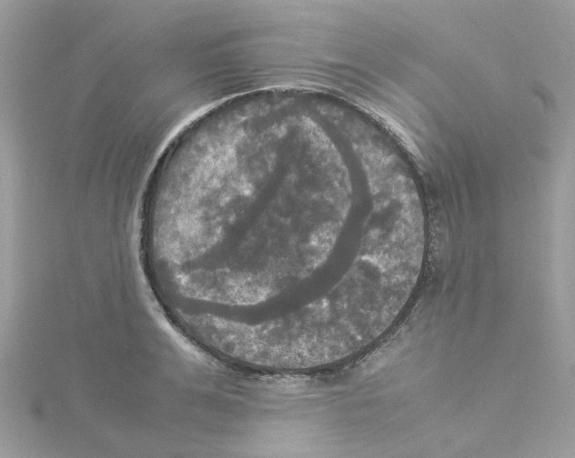 X0000114110991200911161115