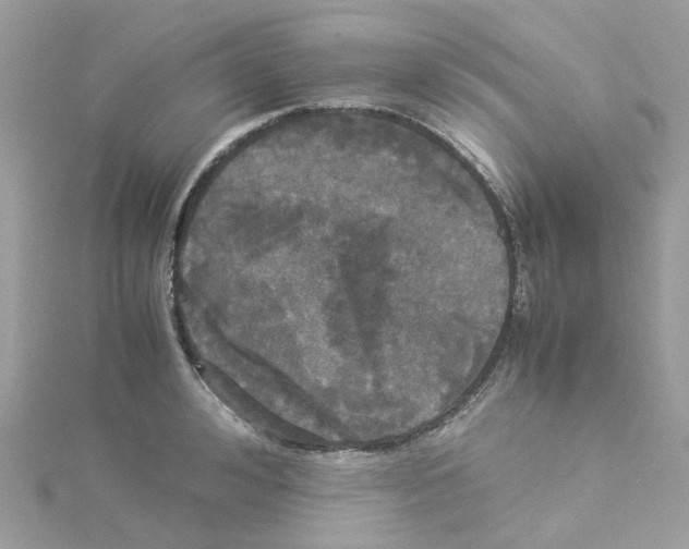 X0000114110992200911161115