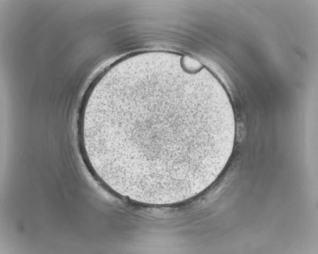 X0000114110995200911161115