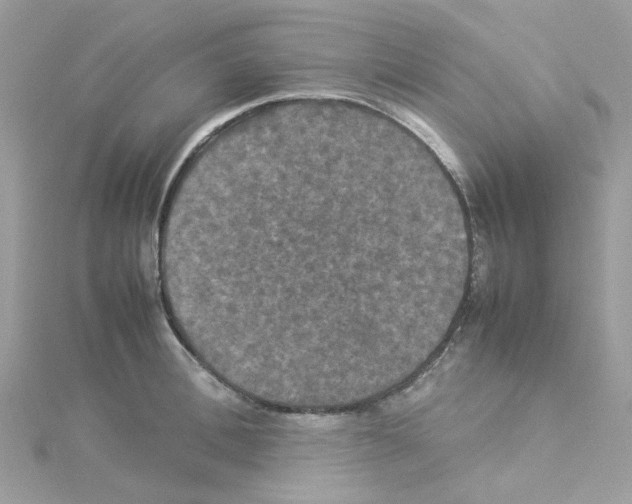 X0000114110996200911161115