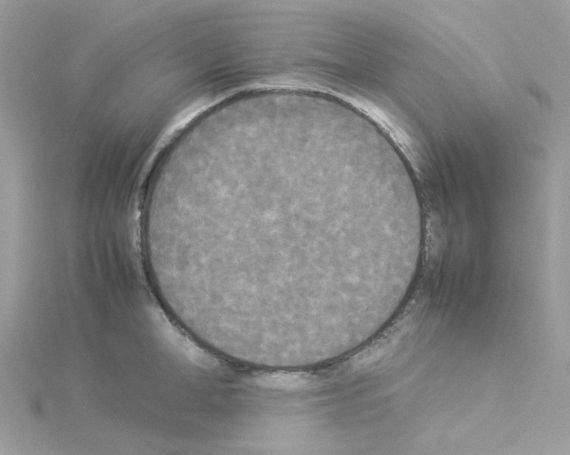 X0000114110998200911161115