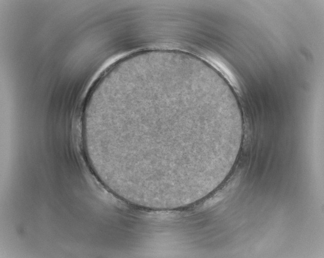 X0000114111000200911161115