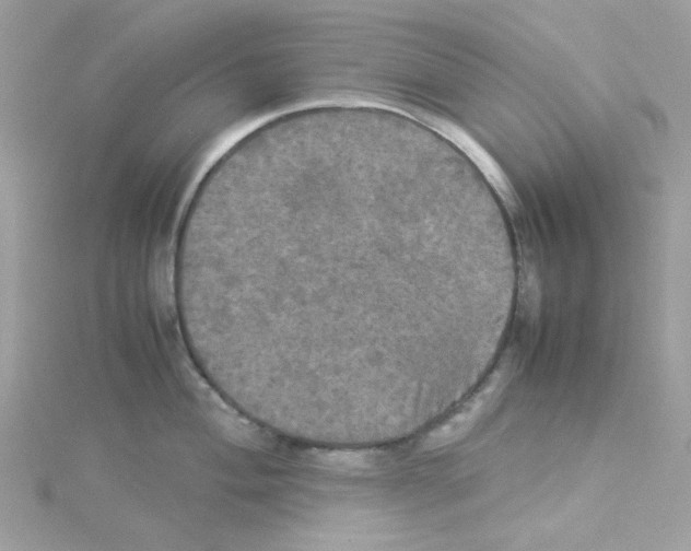 X0000114111004200911161115