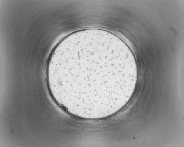 X0000114111005200911161115