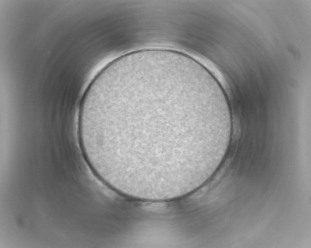 X0000114111006200911161115