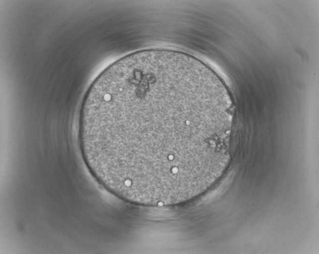 X0000114111007200911161115