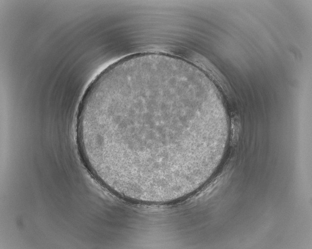 X0000114111020200911161114