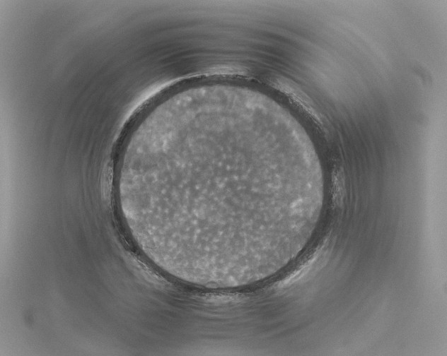 X0000114111021200911161114