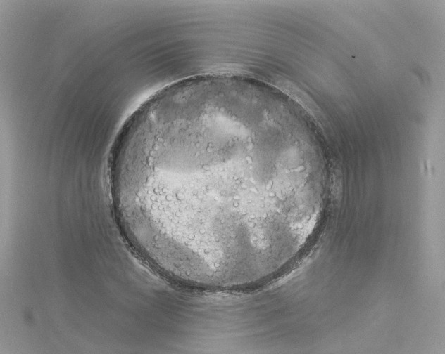 X0000114111022200911161114